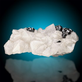 Sphalerite-Bockswiese | Hahnenklee | Goslar | Harz | Lower Saxony | Germany